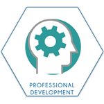 Professional Development 